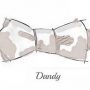 Dandy