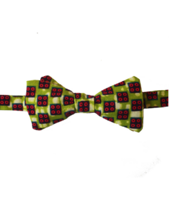 Noeud Papillon Wax Ludo Vert